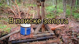В поиске золота