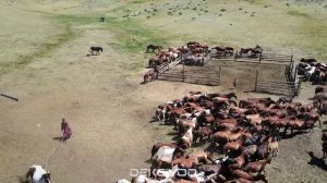 Чылгы / Тыва / Республика Тыва