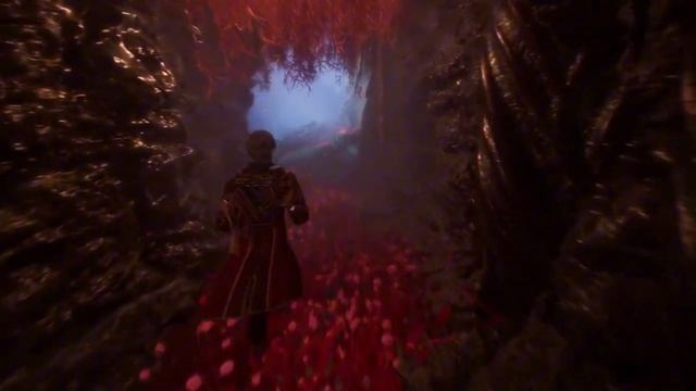 Clair Obscur начало