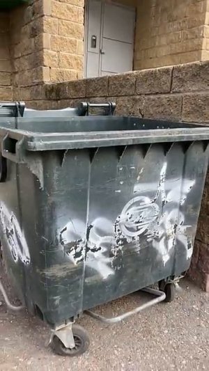 ЦЕЛАЯ ЧИПСИНКА_) #shorts #memes #funnyvideo