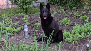 ✨️Дела домашние ✨️Покупки ✨️Распаковка✨️