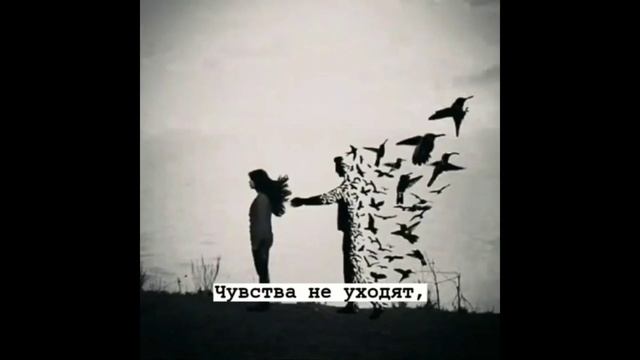 Лучшая подборка цитат #12 | Цитаты великих людей, смешные цитаты, весёлый цитаты, грустные цитаты| смотреть онлайн