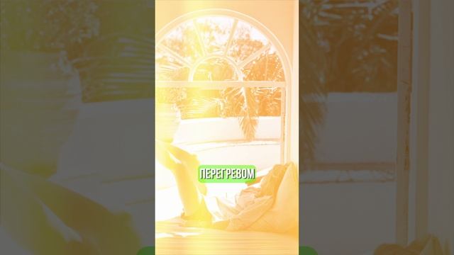 Хотите дом который РАЗОЧАРУЕТ через год? смотреть онлайн