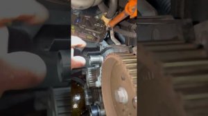 Seat. Замена ремня ГРМ.