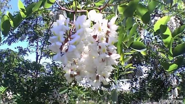 Мариуполь ⛵ летняя погода 🌞🌞🌞 смотреть онлайн