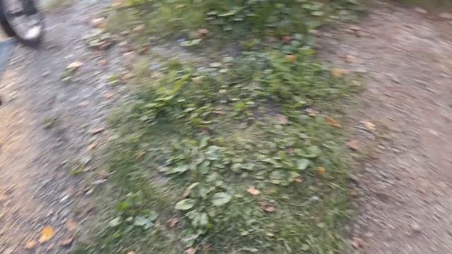 Электросамокат и прицеп