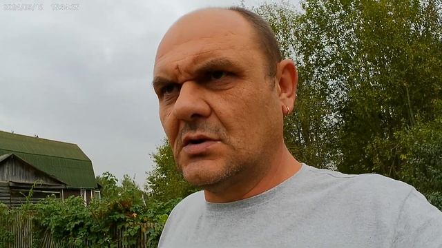 Урожай свёклы. смотреть онлайн