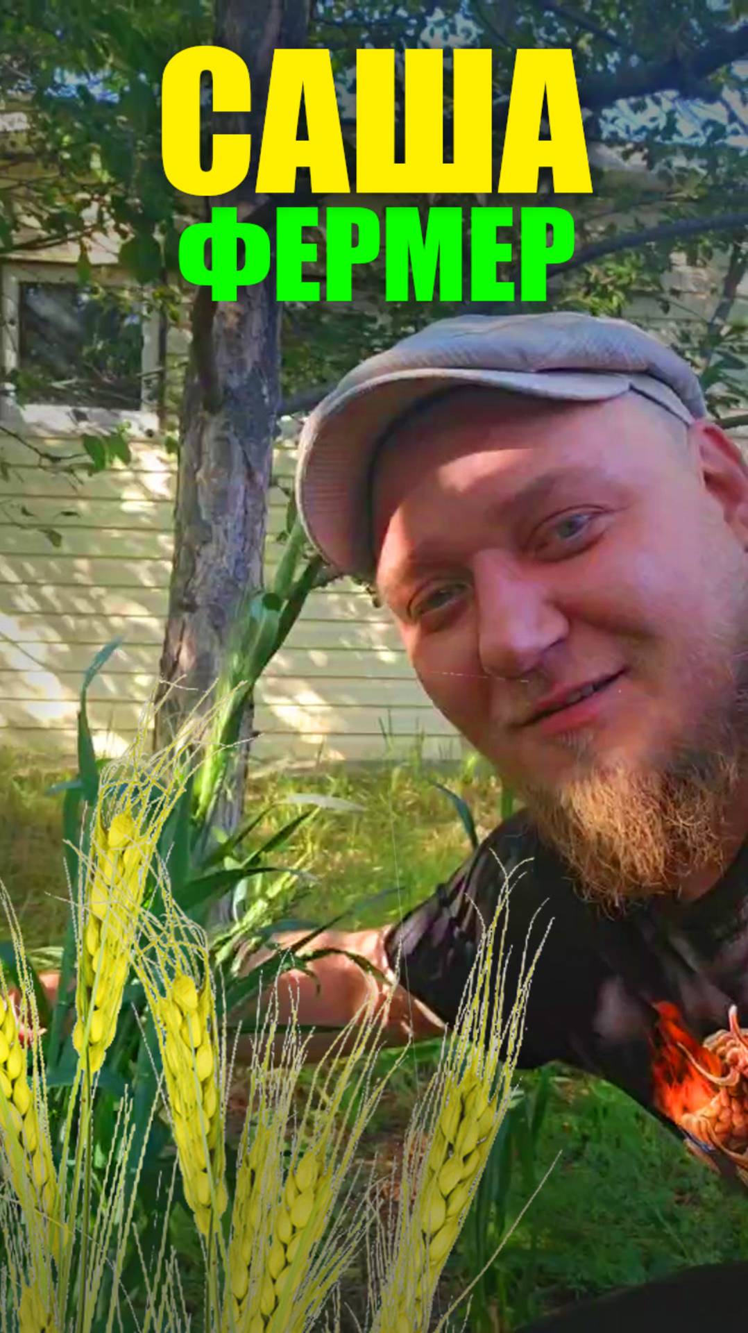 Саша-Фермер #юмор #урожай2025 #сельскоехозяйство #радогост-маш смотреть онлайн