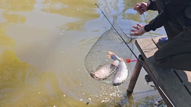 24.05.25 г. Парк отдыха водопад смотреть онлайн