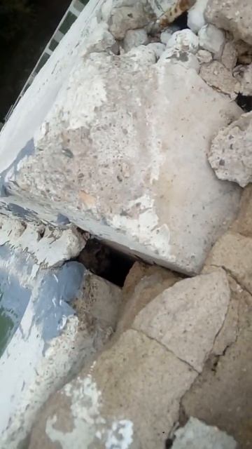 Мягкая кровля смотреть онлайн