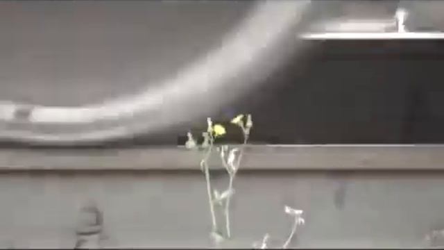 Ерал-Симская 11.08.2011