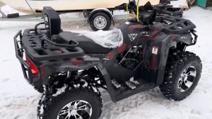 MOTAX Grizlik 300 - это вам не домашний кот, а дикий барс с дерз?