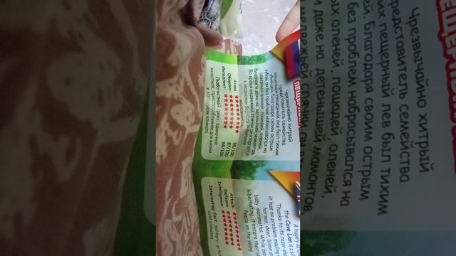 распаковка повелители леса и доисторические хищники сбабам.mp4 смотреть онлайн