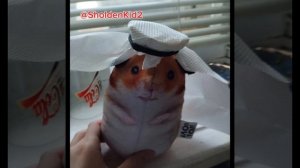 Обзор отзывов на игрушки Блоптоп #блоптоп #шлепа #миша @bloptop