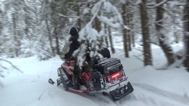 Sharmax SHP 680 прогулки по лесу 2024 смотреть онлайн