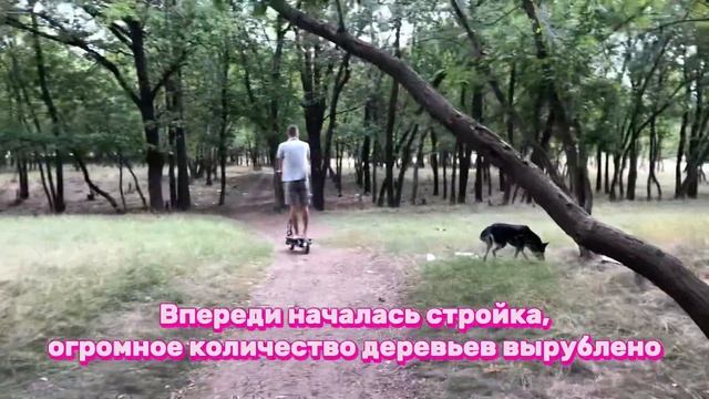 Прогулка на самокатах смотреть онлайн