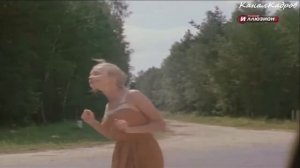 ГАЗ-22 "Волга", универсал из к/ф "Шофёр на один рейс" (1981).