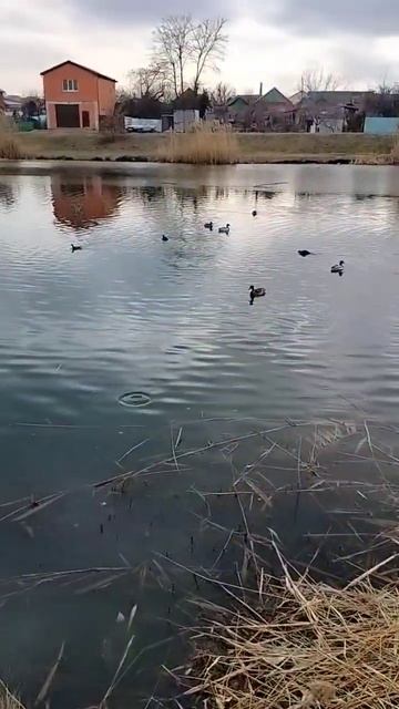 Зима на Кубани 🍀🤗🥰 смотреть онлайн