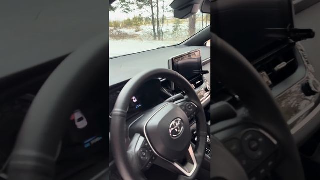 Стоит ли брать ? Toyota Corolla Levin
