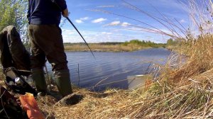 Рыбалка в мае, на карася. Поплавочная удочка.