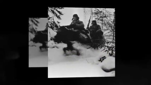 Казаки  Великой Победе!