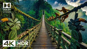 Удивительный HDR 4K 120 FPS Dolby Vision - 4K Video ULTRA HD #4k