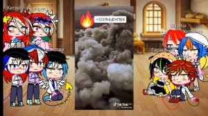 Реакция стран на вооружение России {+2 видео}