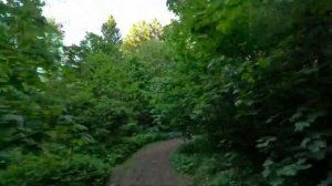 Покатушки на детском питбайке орион 50 #питбайк #мото #п