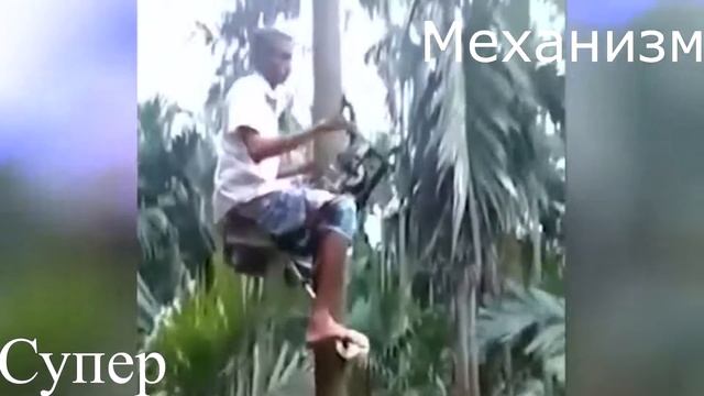 Фото,Видео приколы . Спасибо за комментарии и лайки. смотреть онлайн