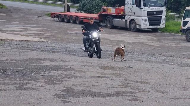 Regulmoto SK200-6 первый запуск смотреть онлайн