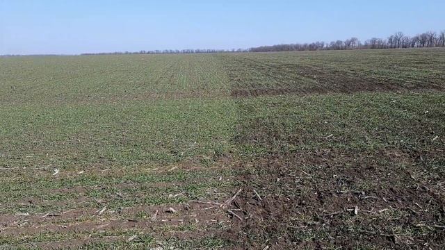 МТЗ-892 с ротационной бороной