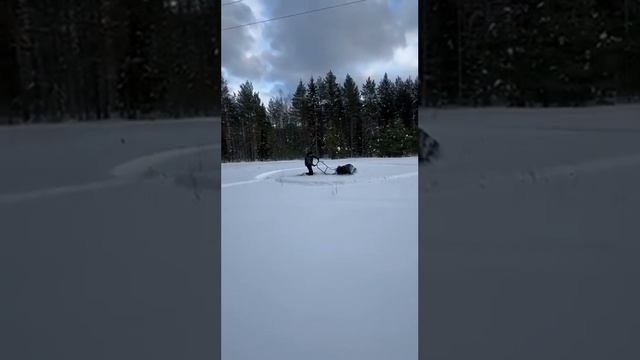 Ну как же без этого.....!) #мотобуксировщик #природа #зима