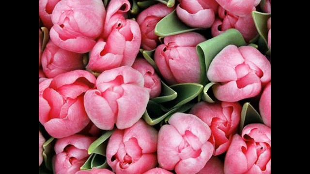 Маришке с ДНЕМ РОЖДЕНИЯ ! смотреть онлайн