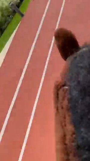 ДО КОНЦА😂❗️Я ХОББИХОРСЕР😂🐎 #shorts #funny #memes #comedy #hobbyhorse