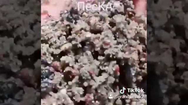Купить Песок в Калинингиаде 37-46-43 смотреть онлайн