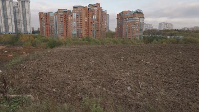 Почему НЕ СТОИТ покупать квартиру в ЖК Will Towers? / Обзор Ж смотреть онлайн