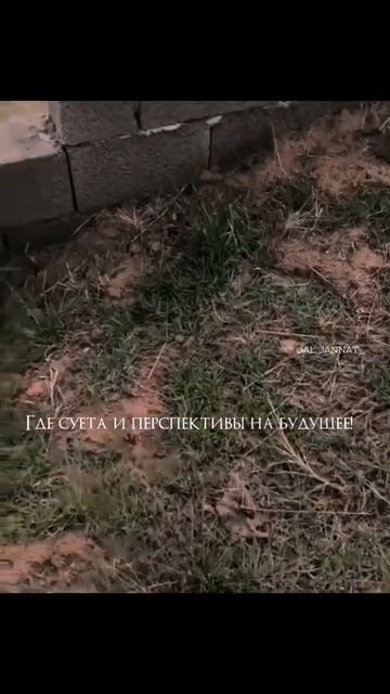 помните о смерти #аллахуакбар