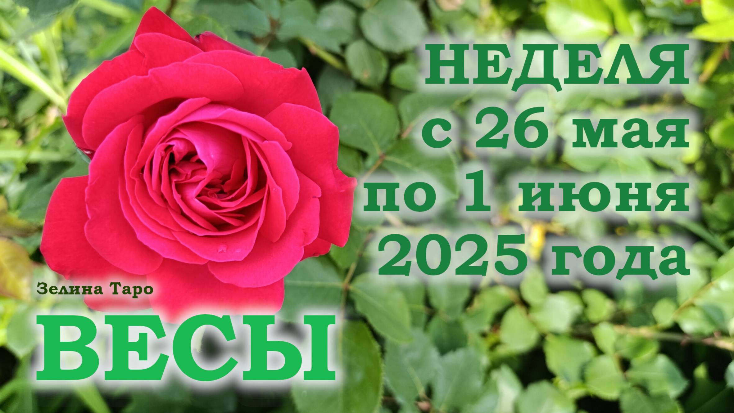ВЕСЫ | ТАРО прогноз на неделю с 26 мая по 1 июня 2025 года