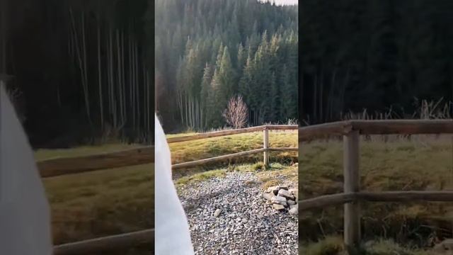 Вязаная коллекция 20-21 #knitwear смотреть онлайн