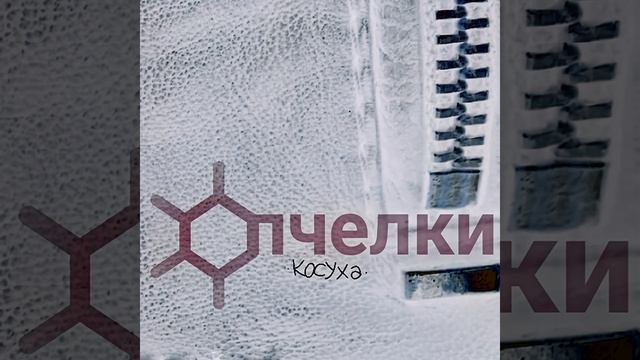 косуха