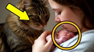 История, в которую трудно поверить бездомная кошка спасла моего ребенка. Истории из жизни