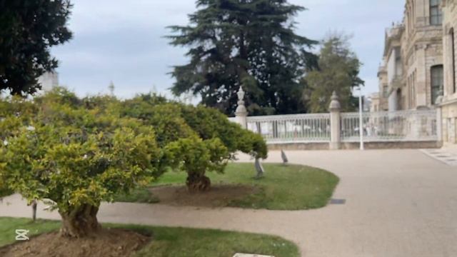 Что посетить в Стамбуле за 3 дня? | Vlog Istanbul