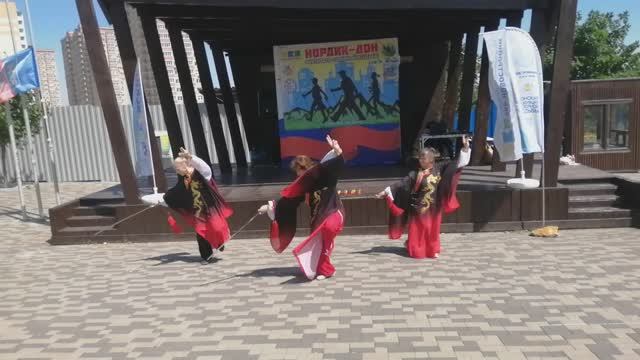 Выступление  на фестивале северной ходьбы Нордик-Дон
