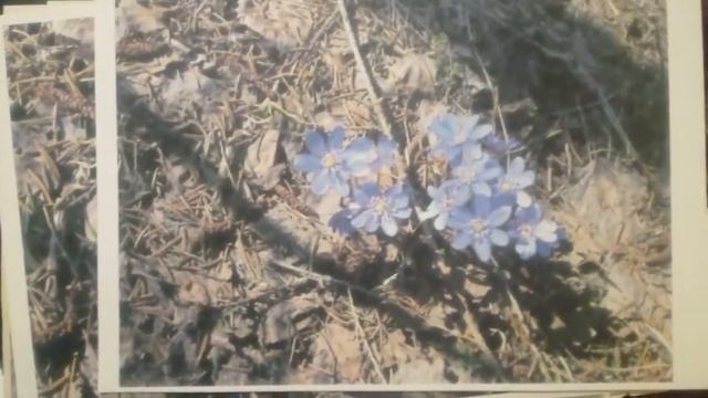 20201226 090916 Старые фотографии 10 20 летней давности с бумаги смотреть онлайн