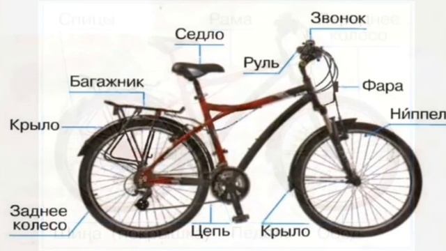 когда изобрели велосипед