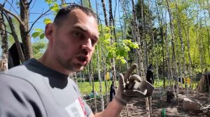 Проверка немецкого качества строительства