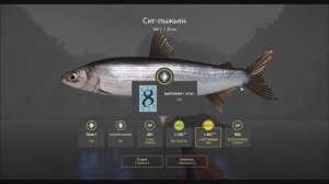 Сиг Пыжьян, река Белая,  выполнение юбилейного задания, игра Русская рыбалка 4