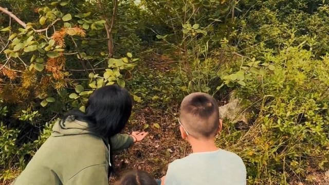 Vlog: Бурятия Монголия 2024 смотреть онлайн