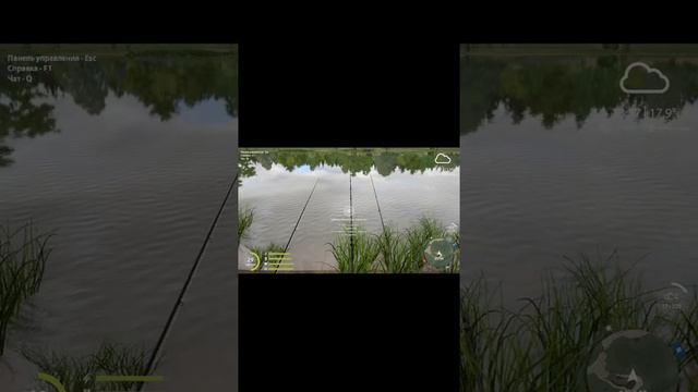 русская рыбалка 4 озеро Янтарное #shorts смотреть онлайн