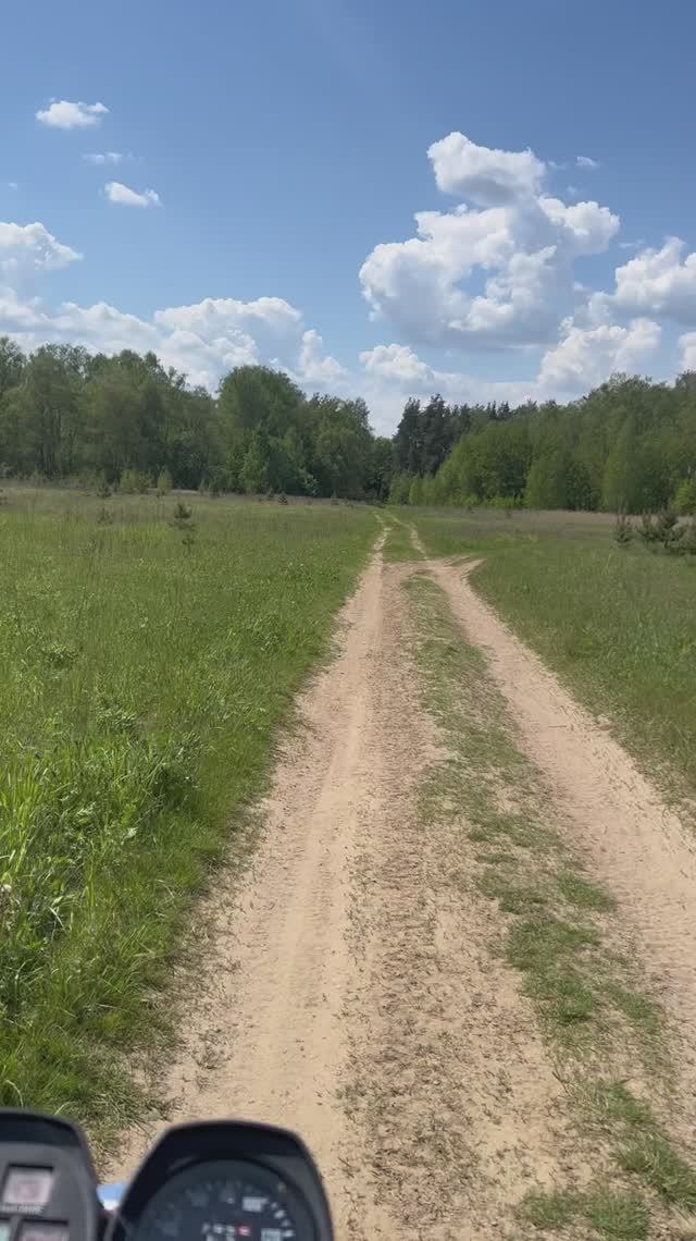 Май 2025  24.05.25